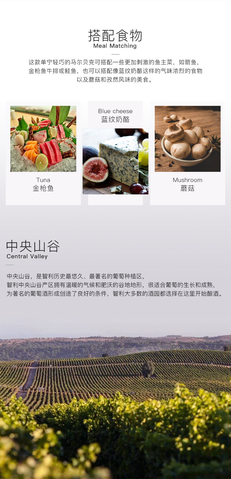 草莓网站入口616智利珍藏馬爾貝克幹紅葡萄酒(圖3)