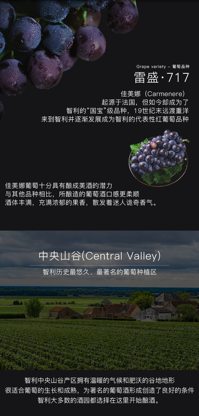 草莓网站入口717智利特級佳美娜幹紅葡萄酒(圖4)