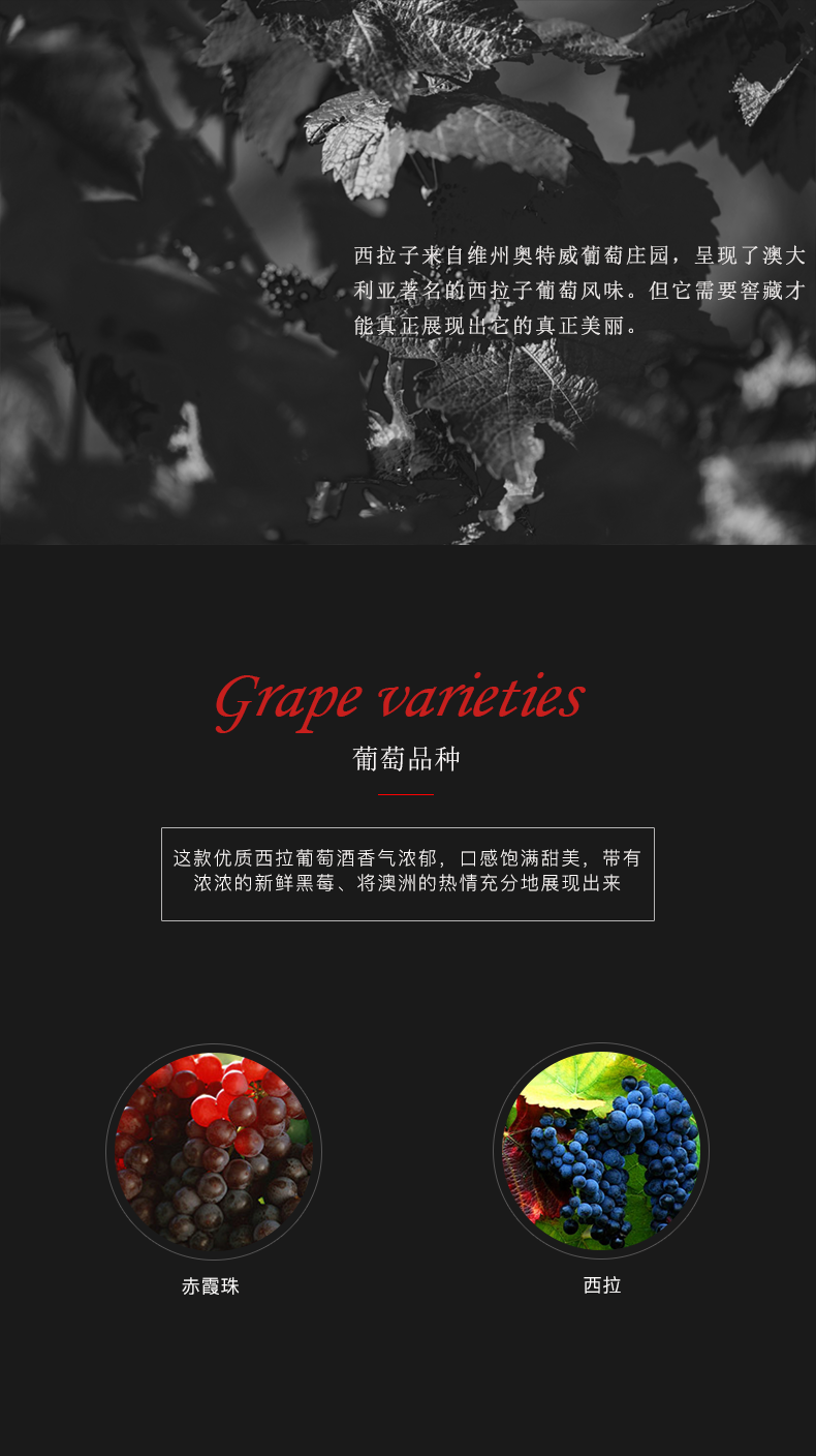 草莓网站入口紅酒101號 澳洲原裝原瓶進口(圖3)