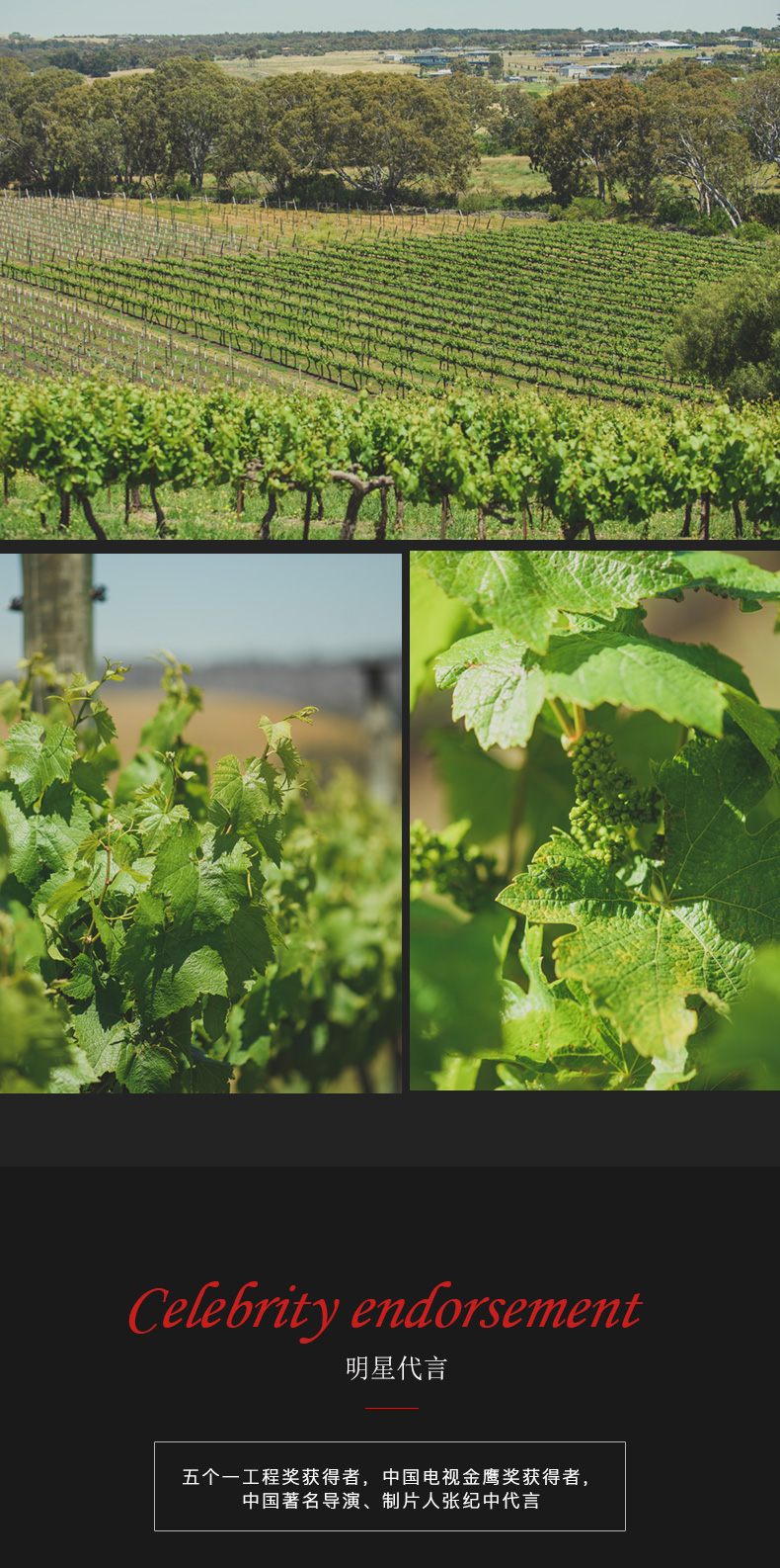 草莓网站入口紅酒203號 澳洲原裝原瓶進口(圖4)