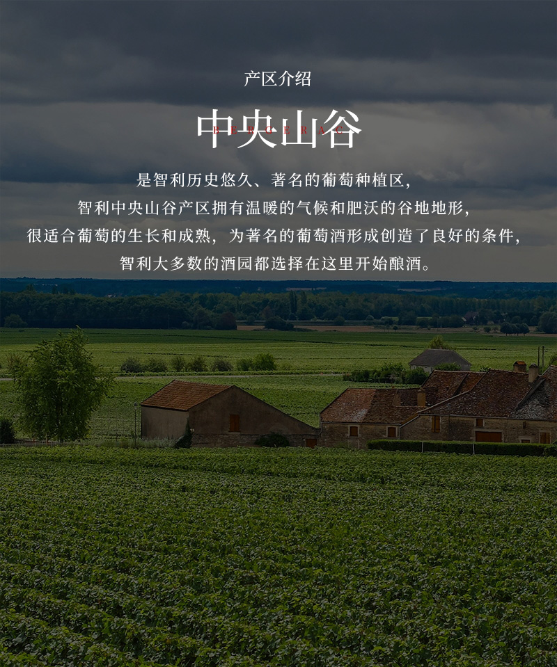 草莓网站入口紅酒33L大瓶蠟封1.5升智利幹紅葡萄酒(圖4)