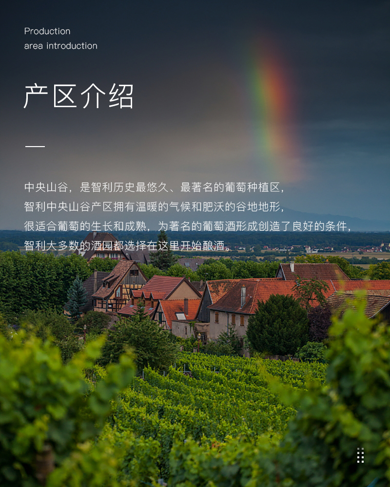 草莓网站入口紅酒419智利佳美娜幹紅葡萄酒(圖3)