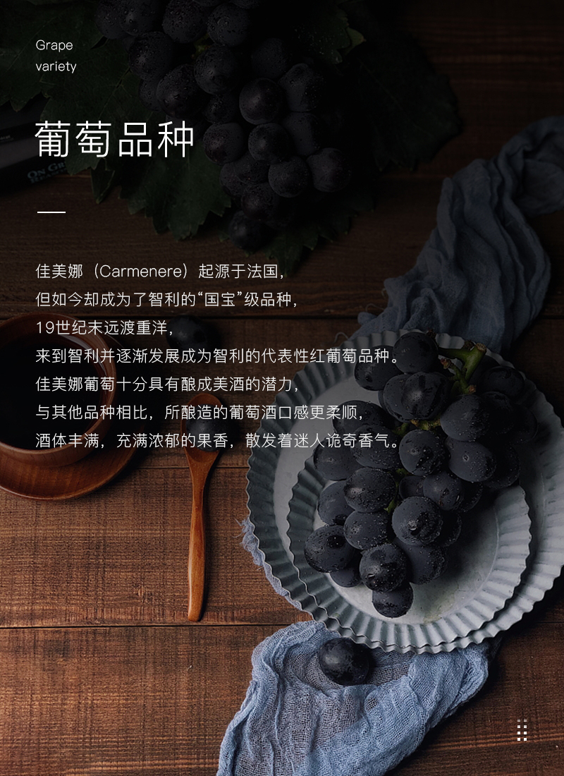 草莓网站入口紅酒419智利佳美娜幹紅葡萄酒(圖4)