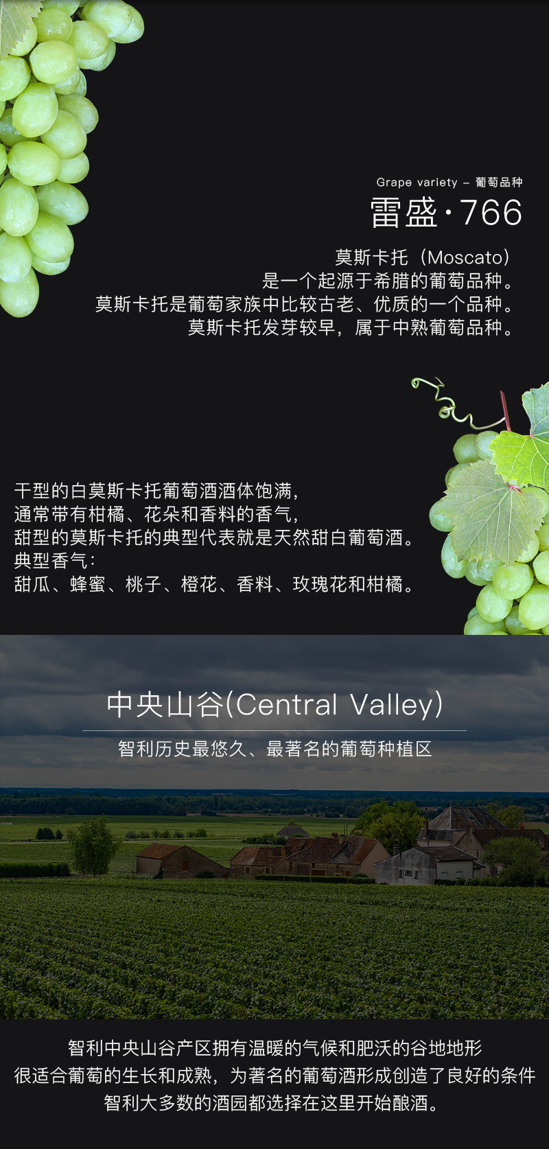 草莓网站入口紅酒766智利莫斯卡托甜白葡萄酒(圖4)